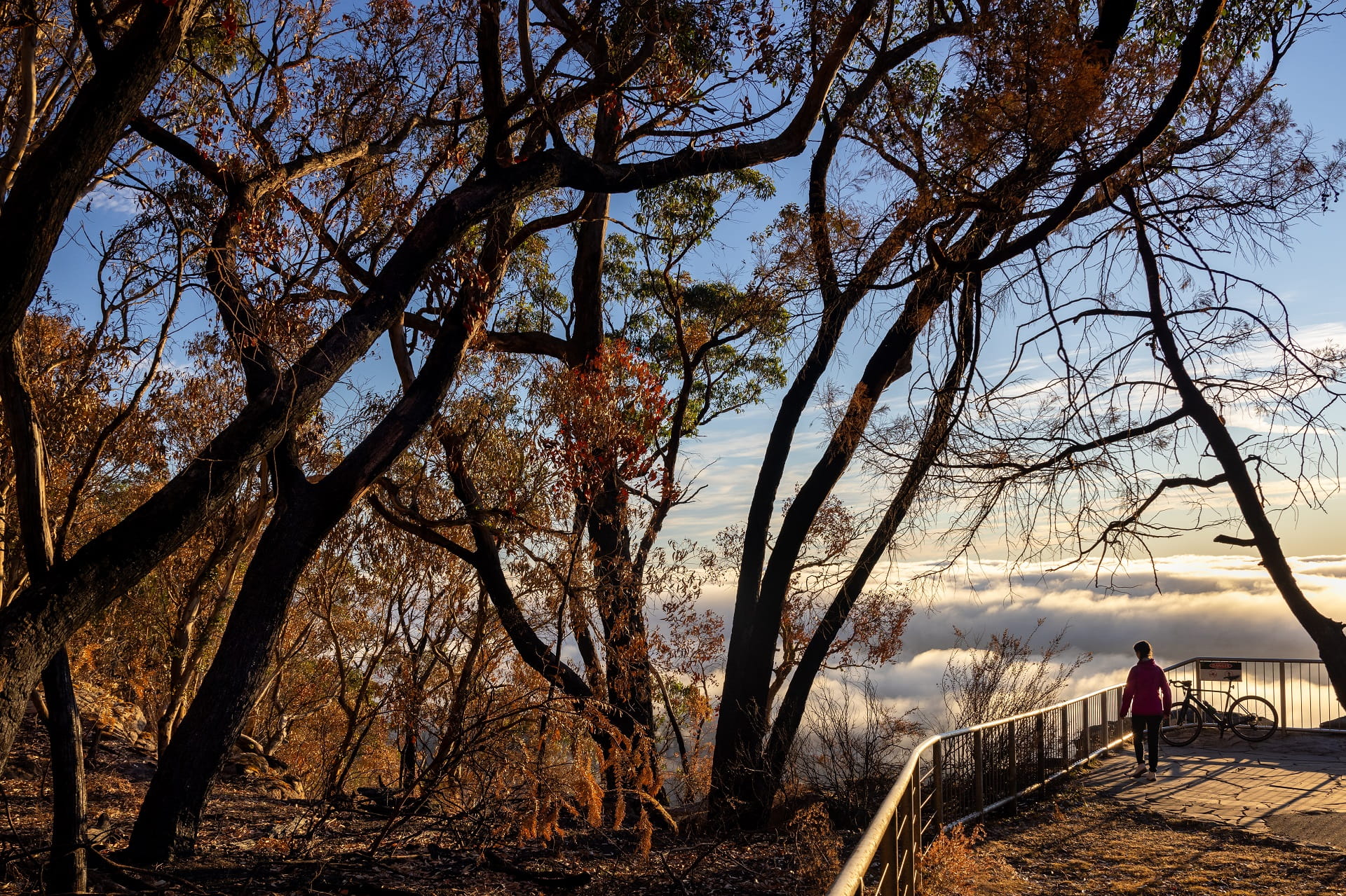 Bushfire impacted landscape can be seen from the Boroka Lookout in the Grampians (Gariwerd) National Park.