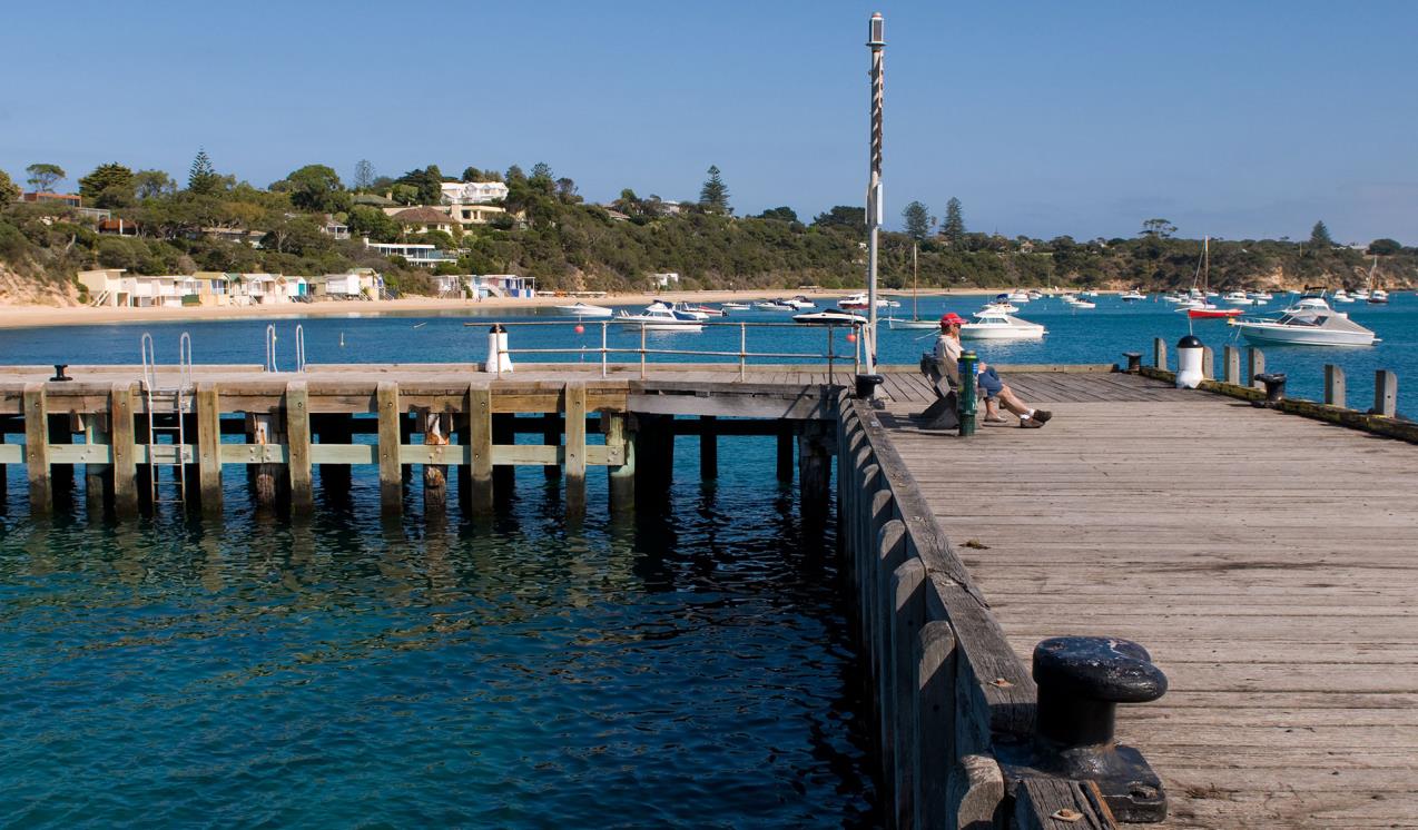 a person sitting on a bench on a pier with boats in the background
